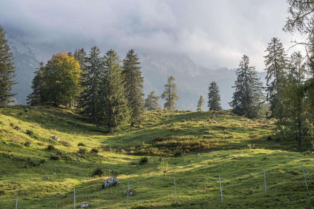 Aschaubichl - Wohnung Enzian Grainau Exteriér fotografie
