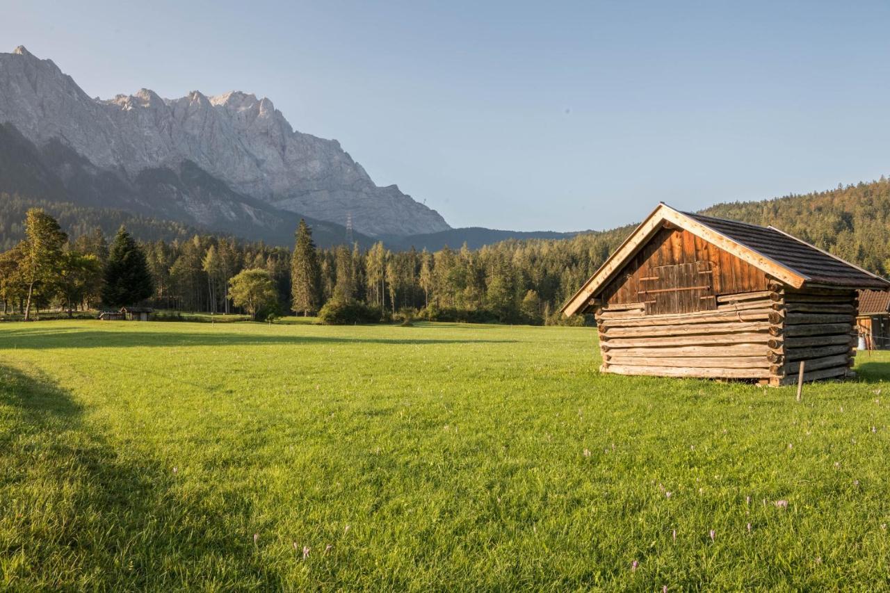 Aschaubichl - Wohnung Enzian Grainau Exteriér fotografie